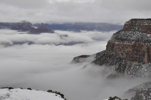 4. The fog rests in the canyon